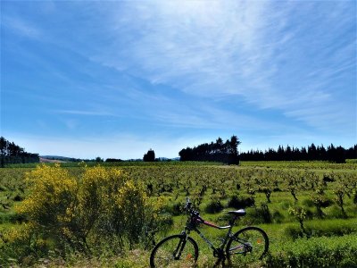 SÉNAS - Perrier Redon à vélo