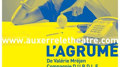 Les Grandes Espérances