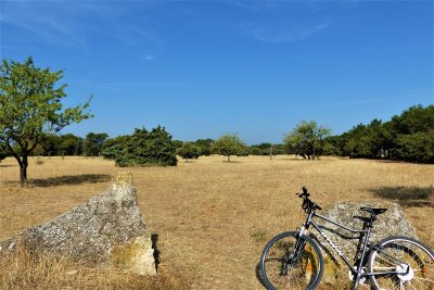 SAINT-RÉMY-DE-PROVENCE - La Routo : pèr draio e pèr camin à VTT