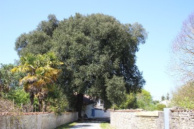 Circuit Explorer Autrement - Champdolent