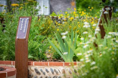Jardin médiéval de la Cité médiévale de Lescar