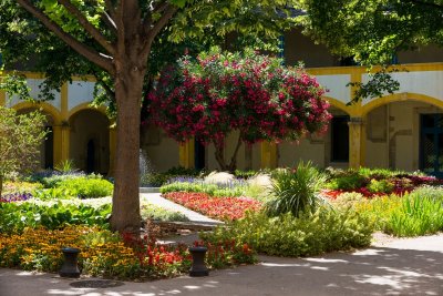 Le jardin de l'espace Van Gogh