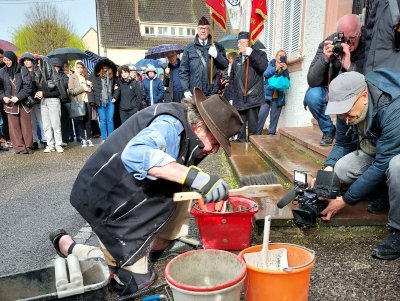 Circuit des Stolpersteine de Wissembourg