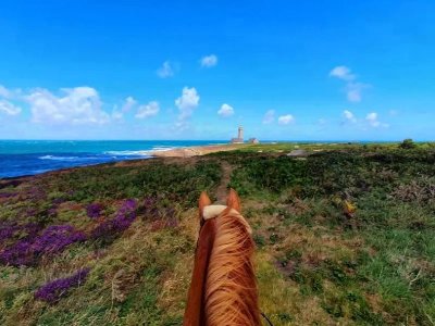Les Chevaux du Cap Lévi