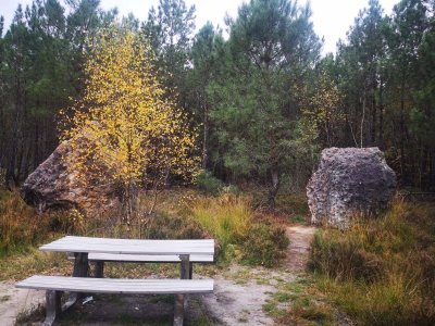 Circuit La légende du coq - Ecommoy - E4