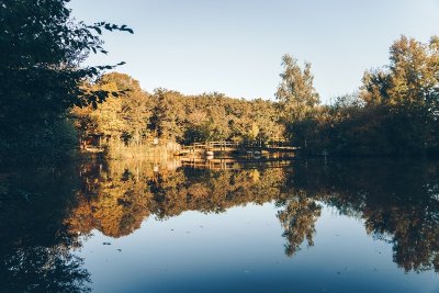 Forêt et étang de la Foucaudière