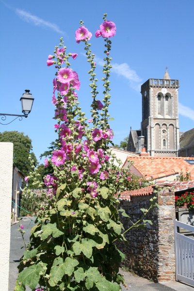 Panorama de la tour de l'église de La Varenne