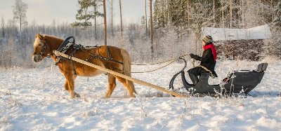 Balade en calèche des lacs, aux montagnes !