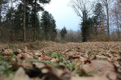 La Pierre des Quatre Communes