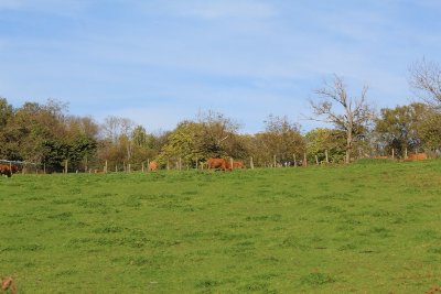 Sur les pas d'Innocent VI