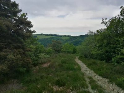 Trail d'Aqui - Le Cayrol