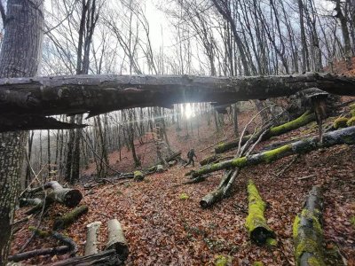 Trail d'Aqui - Lassouts