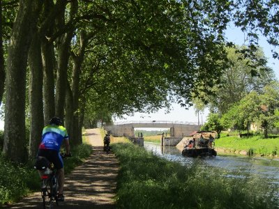 Parcours d'orientation