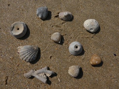 Falaise des Confessionnaux