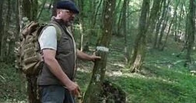 Balade nature - Promenons-nous dans les bois… Forêt, vergers et patrimoine rural