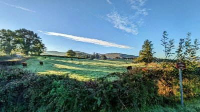 Randonnée panoramique : De Martailly-lès-Brancion à Cluny par le Mont Saint-Romain