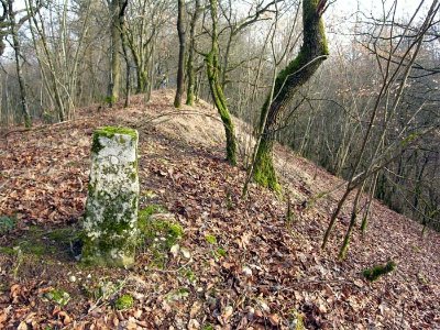 Oppidum de Boviolles