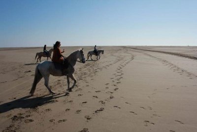 Centre équestre Mas de l'Espiguette