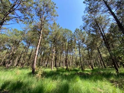 Sentier Lou caminot tranquilot