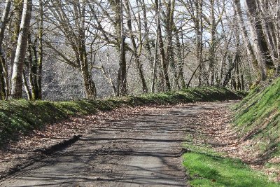Entre vallons et cours d'eau