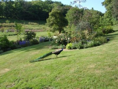 Association ARTBOTANIC