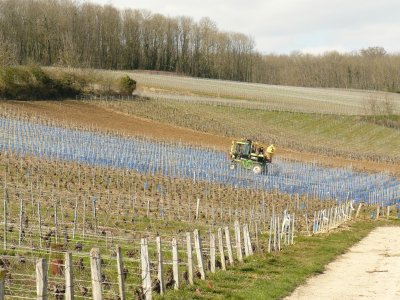 Circuit à travers champs