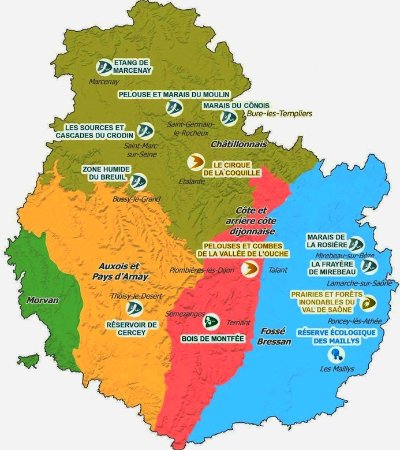 La vie en fluo - Briller pour survivre