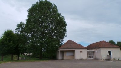 Le Ginkgo Biloba d'Anglure