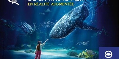 Nausicaá - Centre national de la Mer