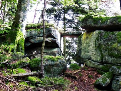 N°16 : Autour du Chalmont