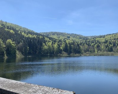 Circuit de randonnée : circuit du lac