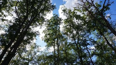 Circuit de l'étang Roger