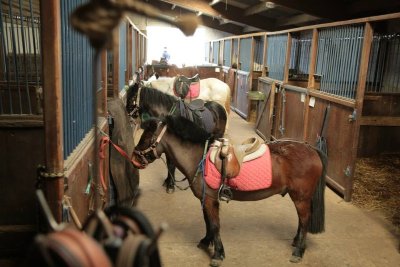 AGM équitation poney-club de Corbreuse