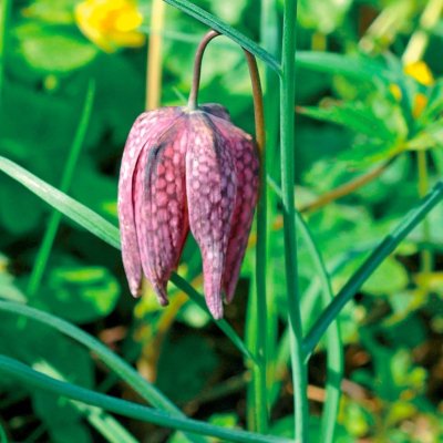 Le circuit des deux rivières - Mauzé-Thouarsais