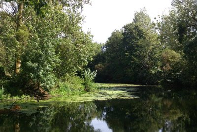 Le Thouet et le Thouaret - Maulais