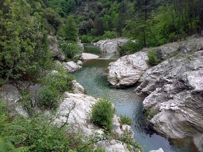 LA FERME DES CEVENNES