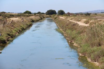 Le Site Naturel Protégé des Salines de Villeneuve