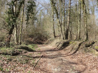 GR® 124 de Rocquencourt à Cires lès Mello