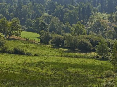 Circuit rando C28 : Les cerisiers de Fouday