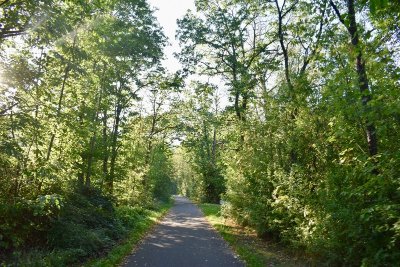 Boucle Alsace à Vélo & Tricycle pour tous - Véloroute du Vignoble et Voie verte Porte Bonheur