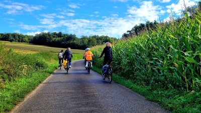 Boucle Alsace à Vélo & Tricycle pour tous - Vallée de l'Ill et plateau sundgauvien