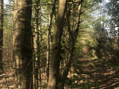 TORDOUET  : Aller de douet en douet - 9,5KM