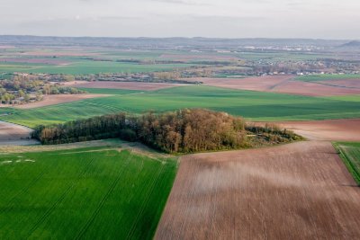Point de vue sur la Mue