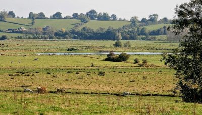 Point de vue sur les marais de la Dives - Troarn