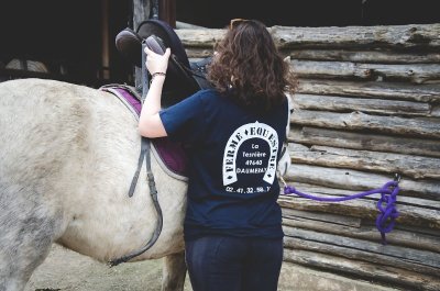 Balades et randonnées équestres avec Les Crins de Louarcé à Daumeray