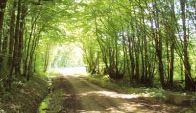Sentier des Grands Bois