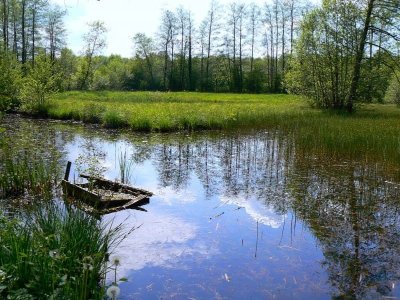 Boucle des milieux naturels du marais de Saône