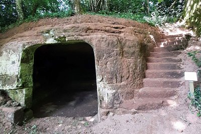 BOIS BANAL DE FAYL-BILLOT