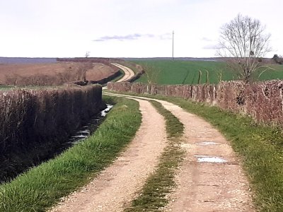 5- Boucle Bozacienne à Bouzais