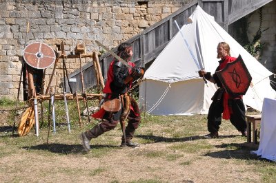 Château du Coudray-Salbart